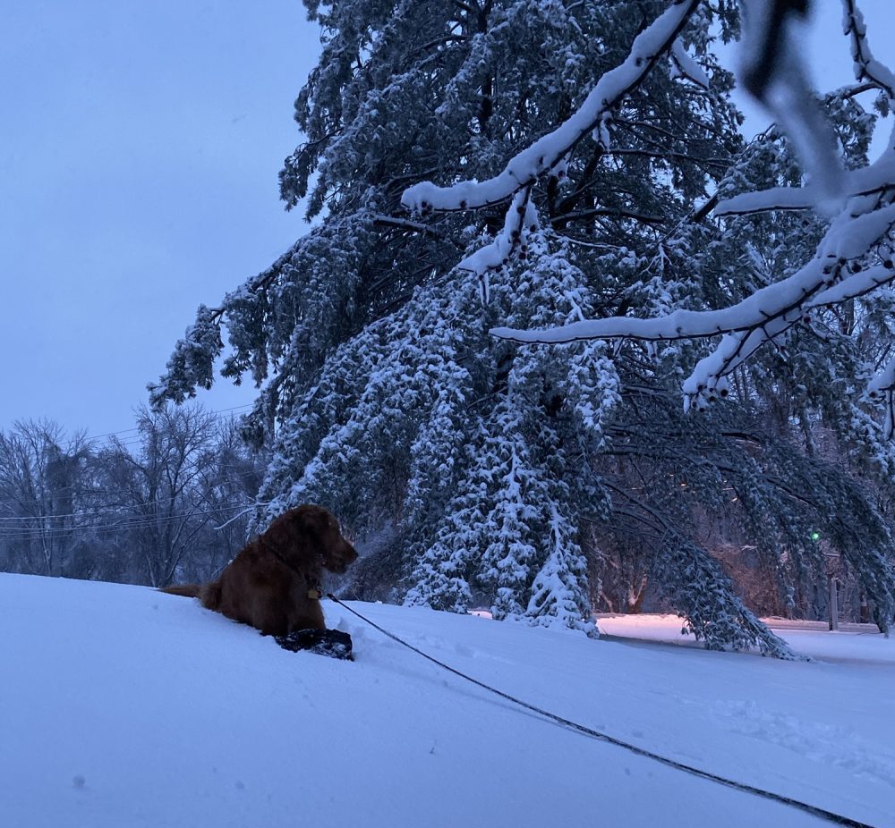 blog: january was too&nbsp;long